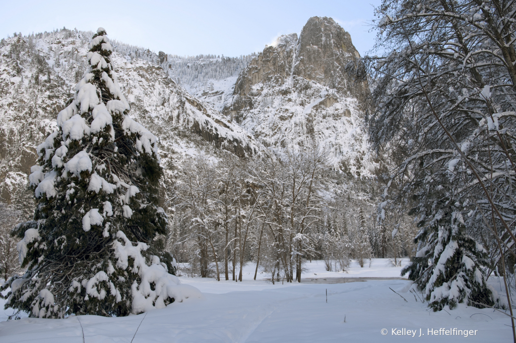 Winter in Yosemite