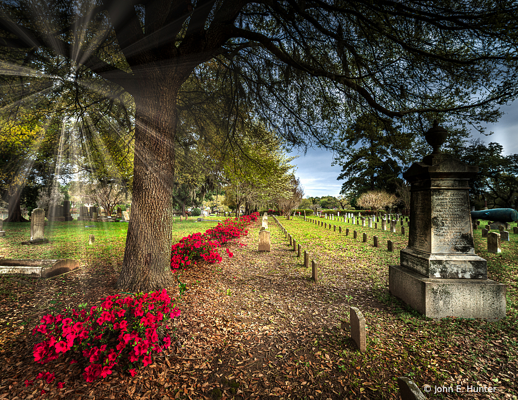 Charleston Graveyard - ID: 15792473 © John E. Hunter