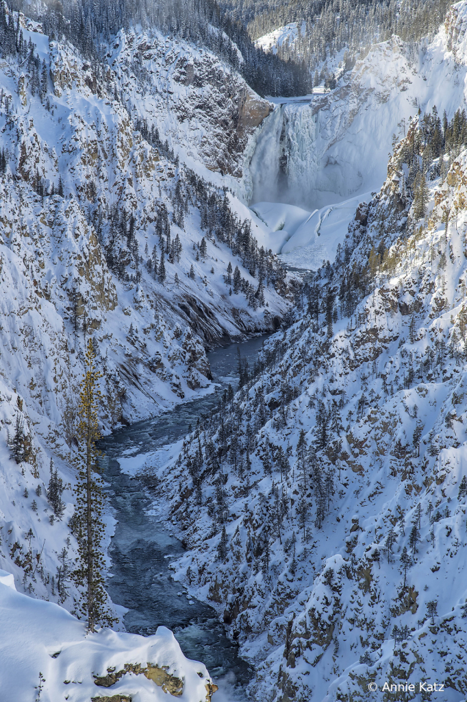 YellowstoneFalls - ID: 15794614 © Annie Katz