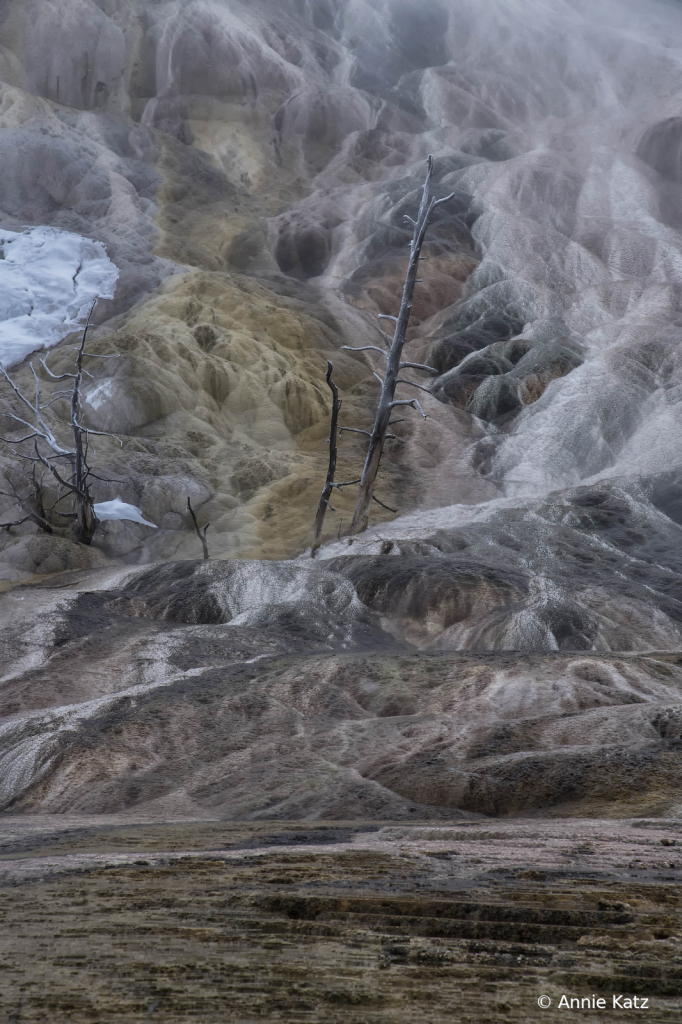 YellowstoneTerracesMammoth - ID: 15794618 © Annie Katz