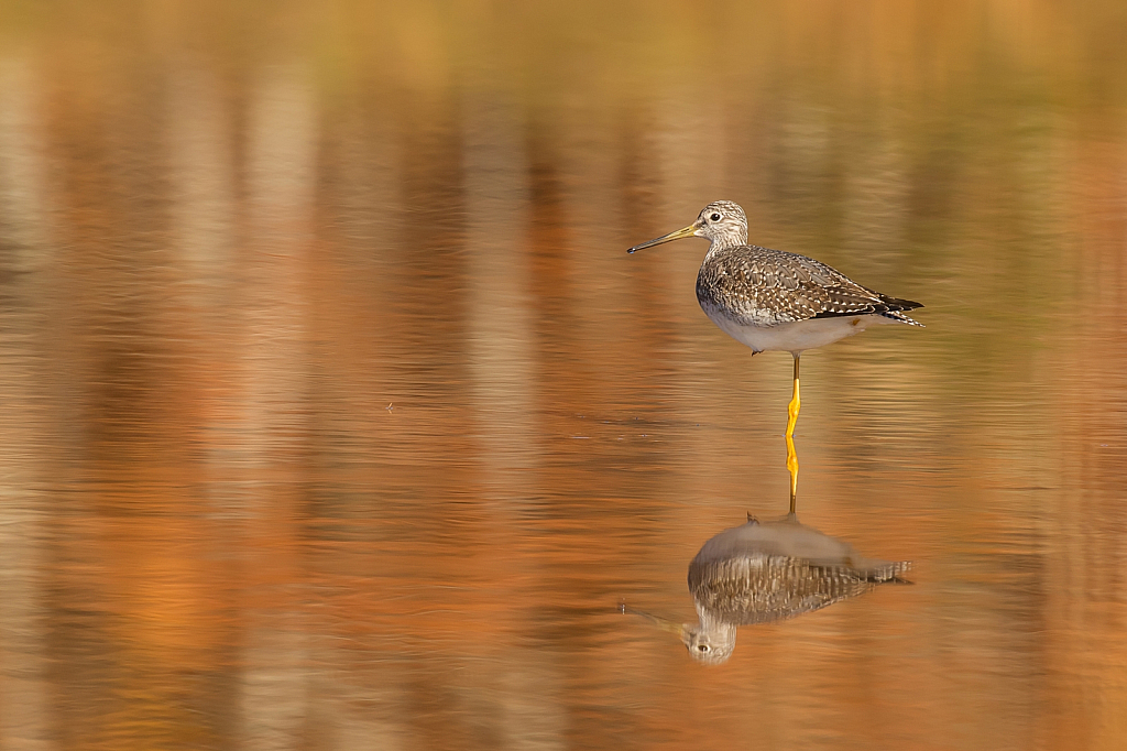 Reflecting