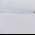 © Kitty R. Kono PhotoID# 15796661: Tree in the Snow