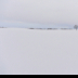 © Kitty R. Kono PhotoID# 15796661: Tree in the Snow