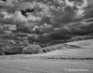 Infrared -Lone Tr...