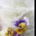 © Krista Cheney PhotoID# 15796892: Pansy and violas in ice