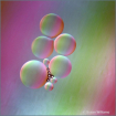 Color My World