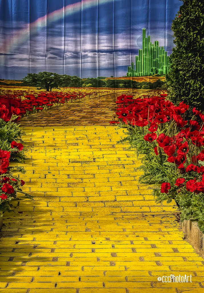 Yellow Brick Road Trip - ID: 15801096 © Candice C. Calhoun