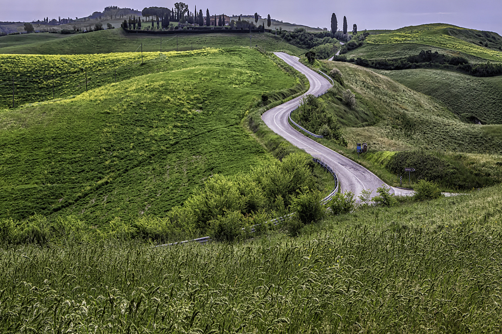 Winding Road Home  0166