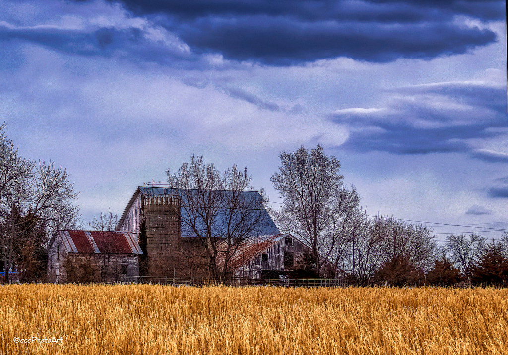 Wheat Field Find