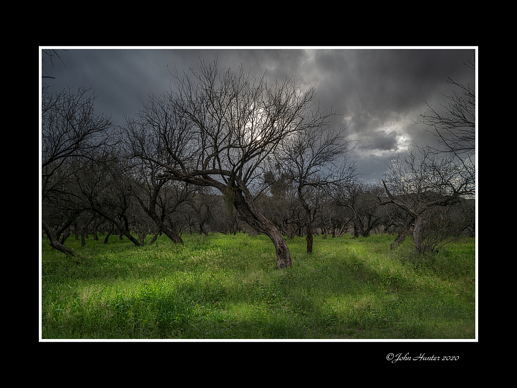 Coon Bluff Storm - ID: 15808794 © John E. Hunter