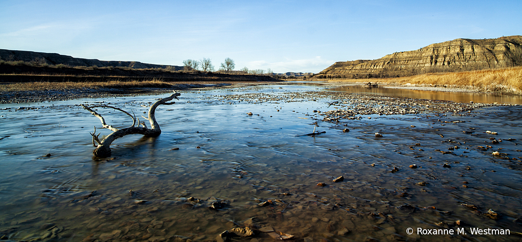 Little Missouri river TRNP - ID: 15809531 © Roxanne M. Westman