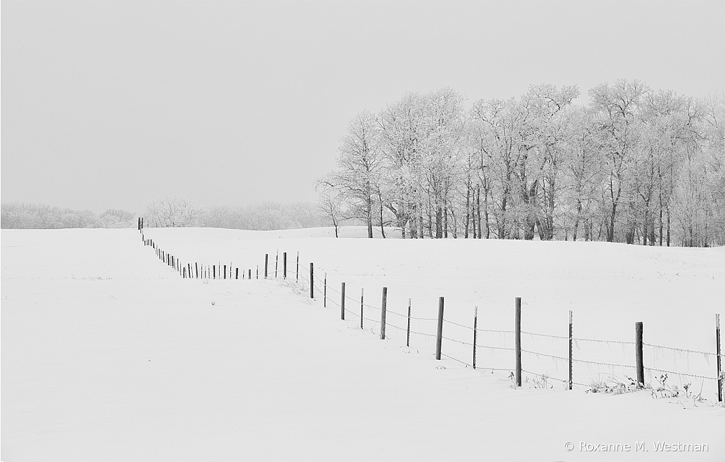 Fenceline through the snow - ID: 15809537 © Roxanne M. Westman