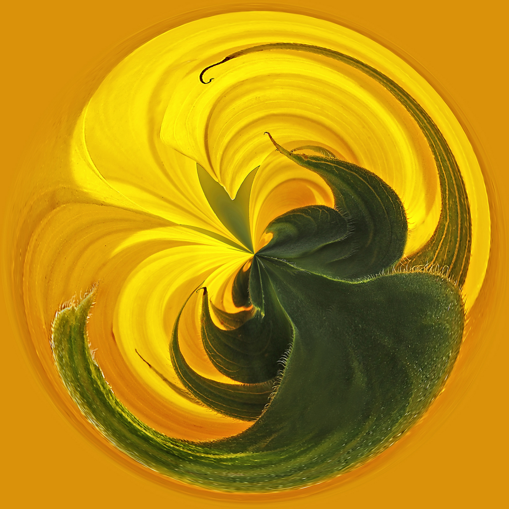 Sunflower Sphere  