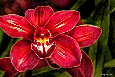 Another Artistic Wonderful Orchid 2-24-20 273