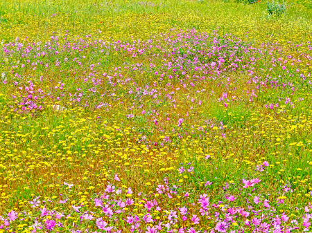 Springtime ground embroidery.