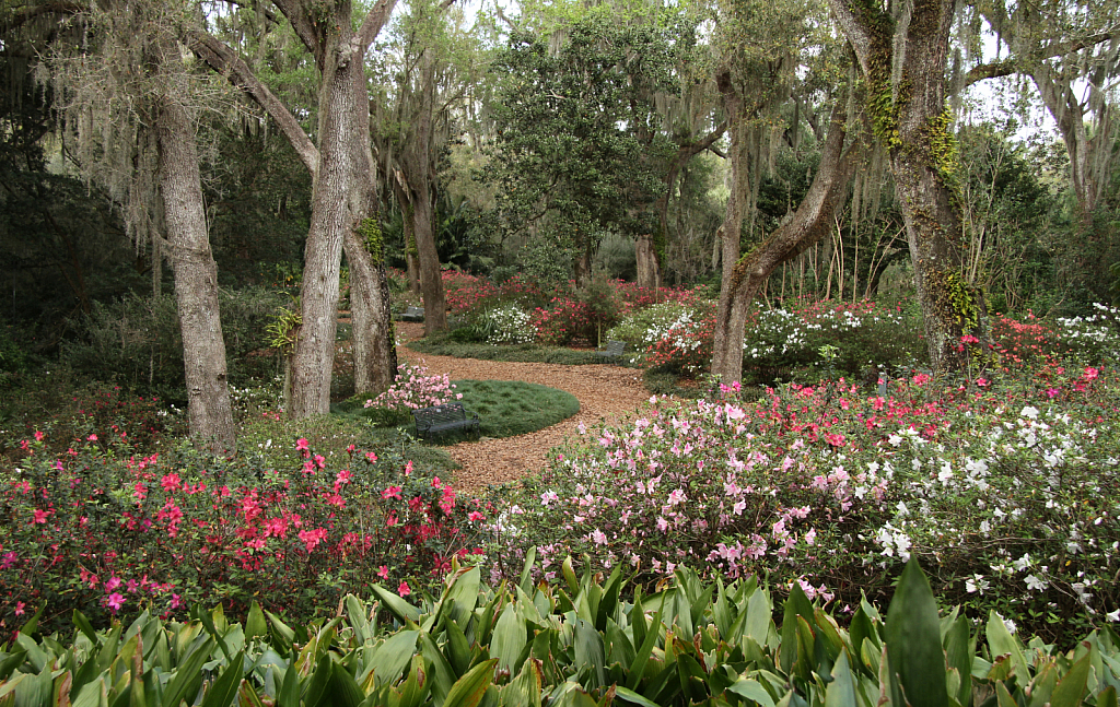 bok towers pathway 