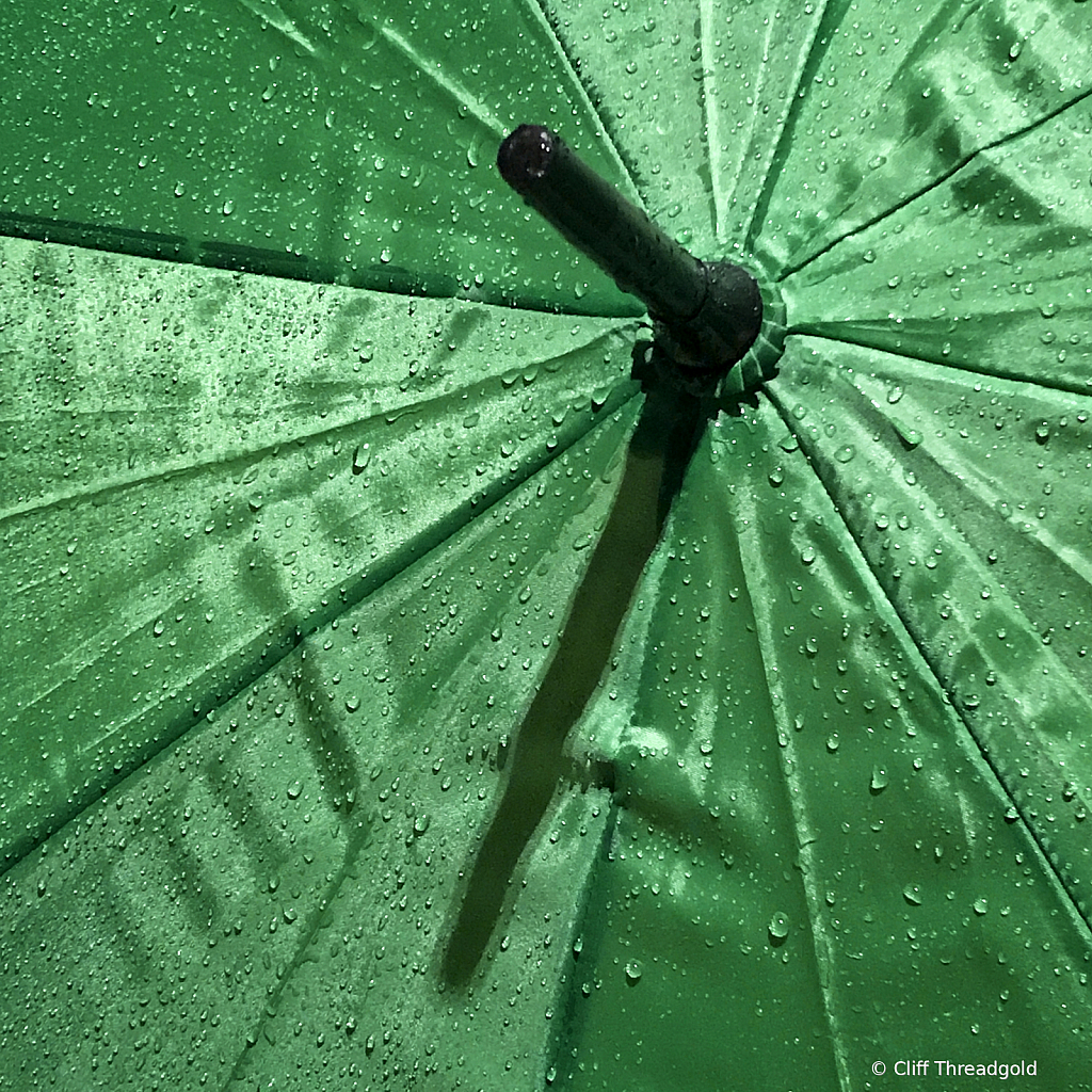 Green Umbrella