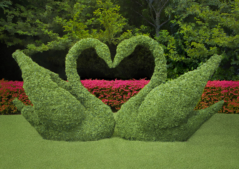 Love in the Garden