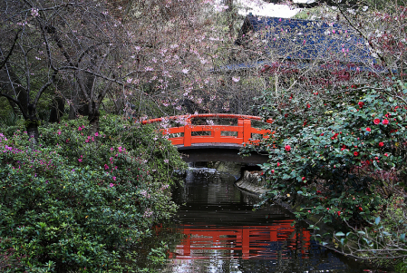 Orange Bridge