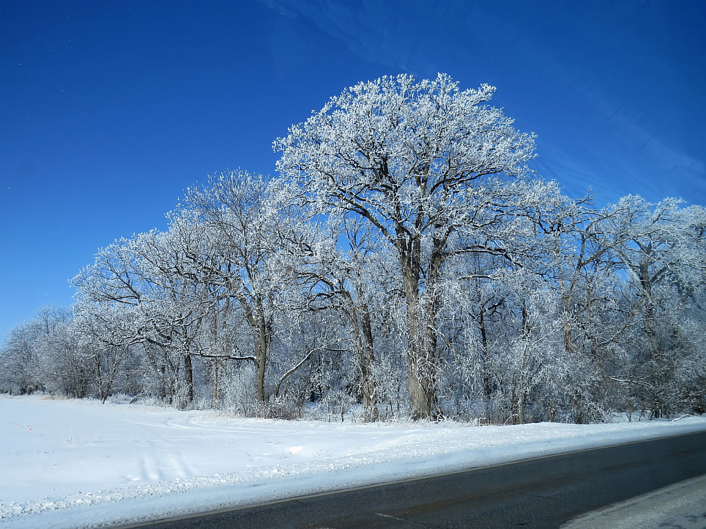 Iowa Country Winter