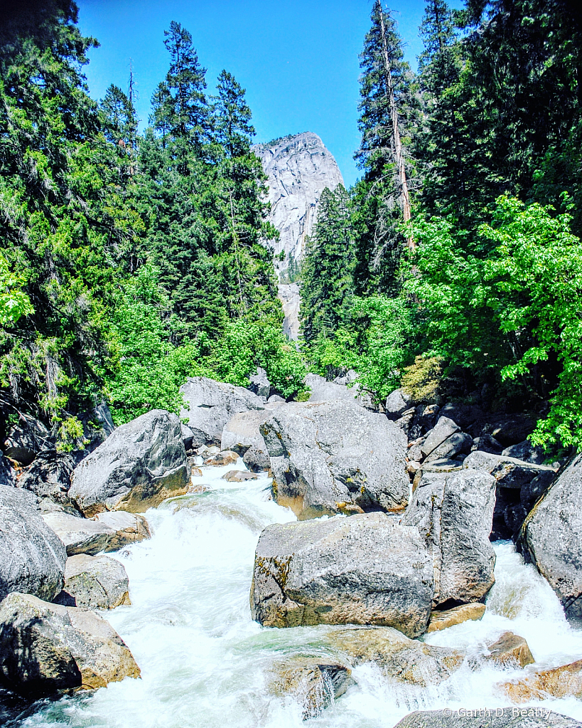 Rocky Mountain Stream in Yosemite Park
