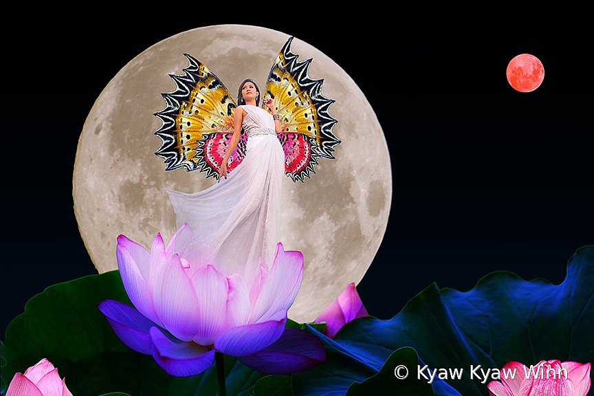 Angel of Moons - ID: 15811856 © Kyaw Kyaw Winn