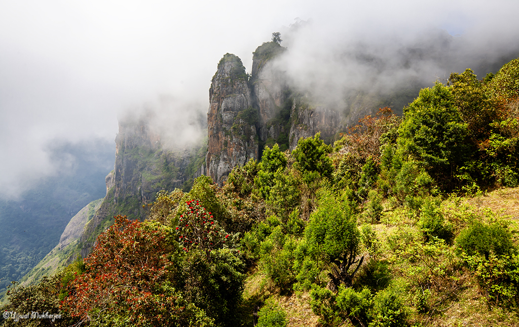 Pillar Rocks