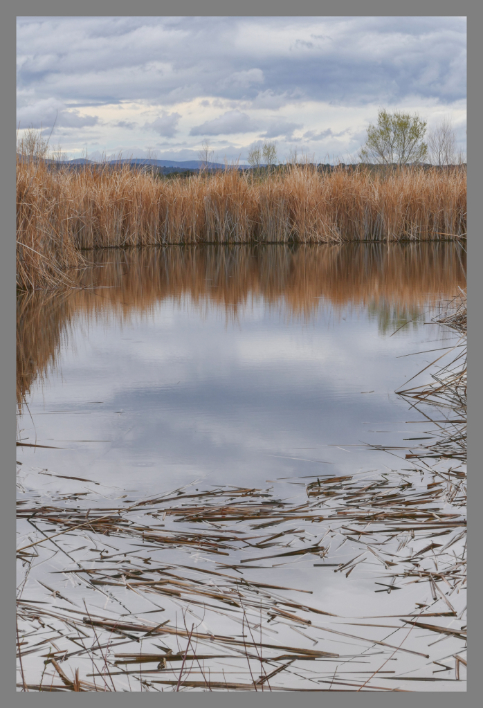 Sedona Nature Preserve