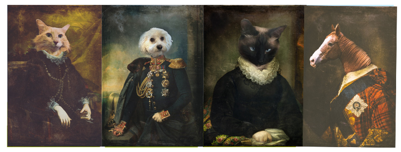 fancy pet portraits