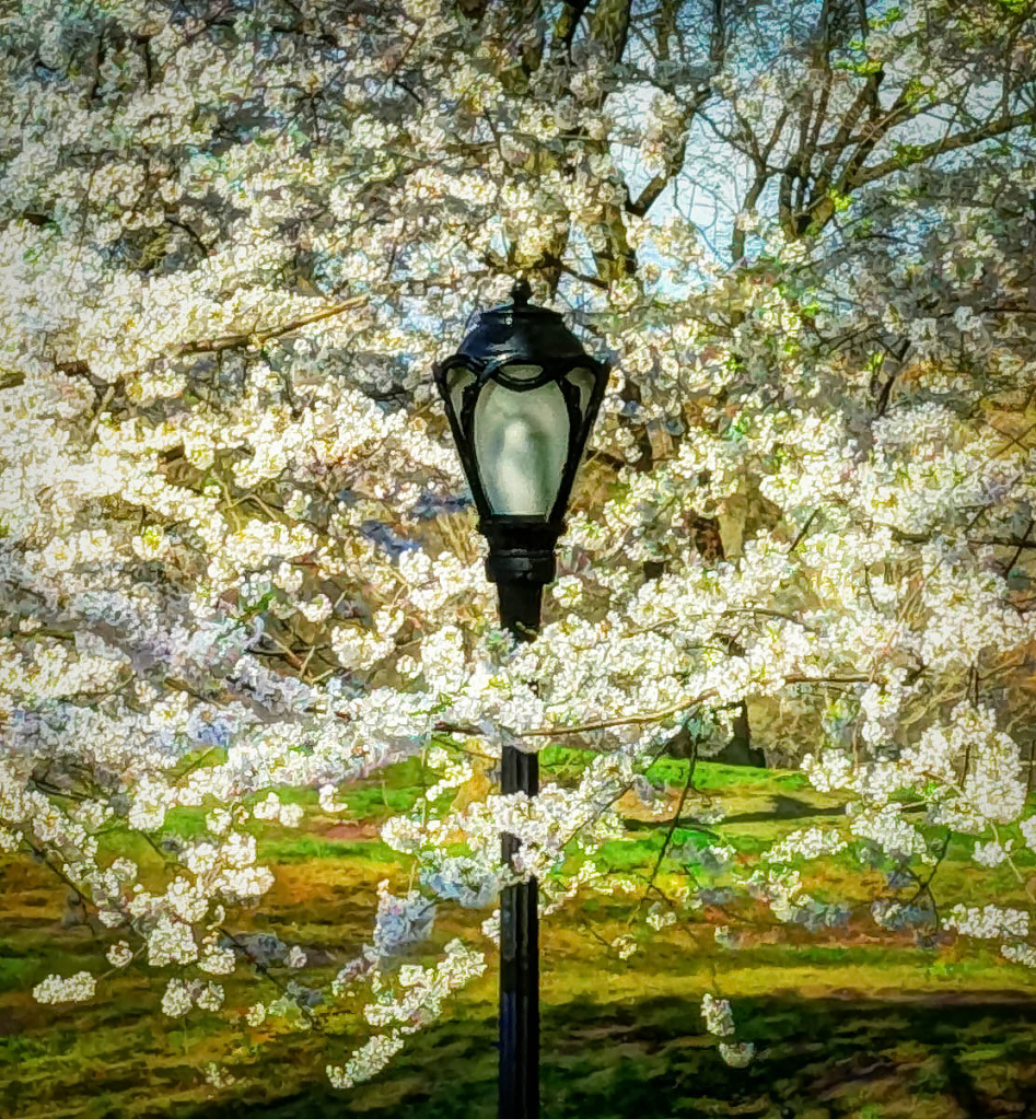 The Light of Spring