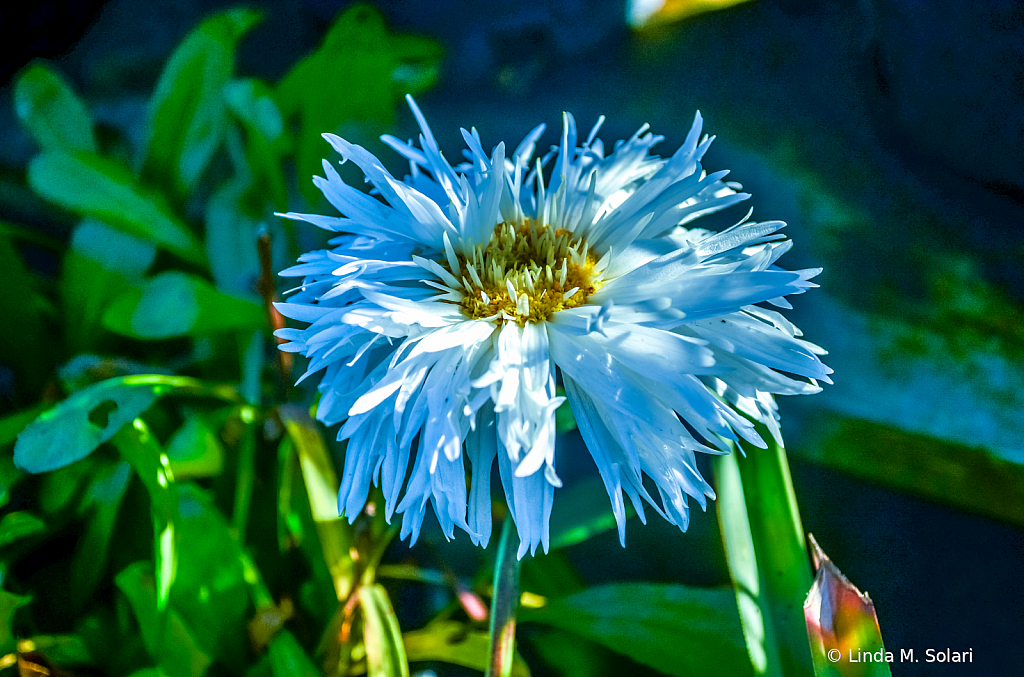 img4
