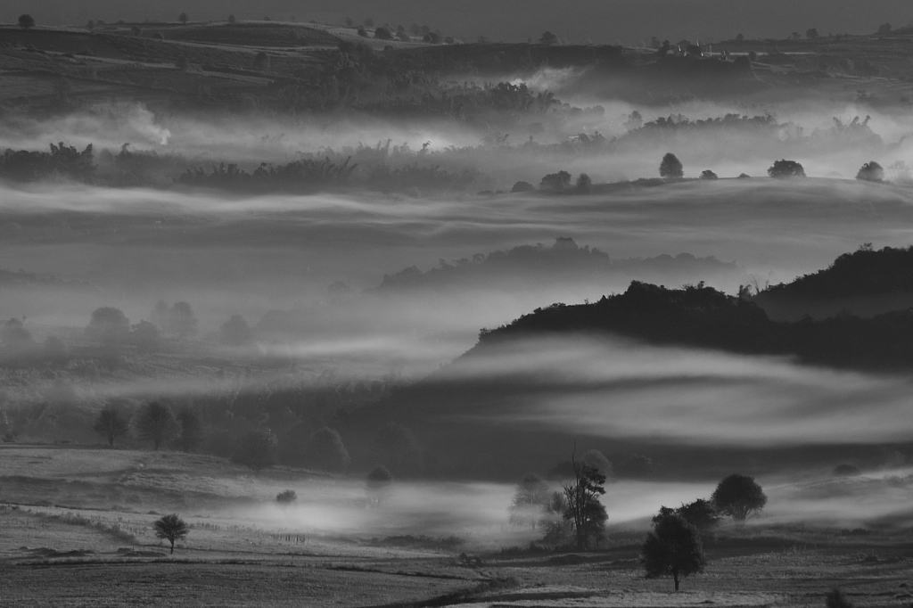 Misty morning