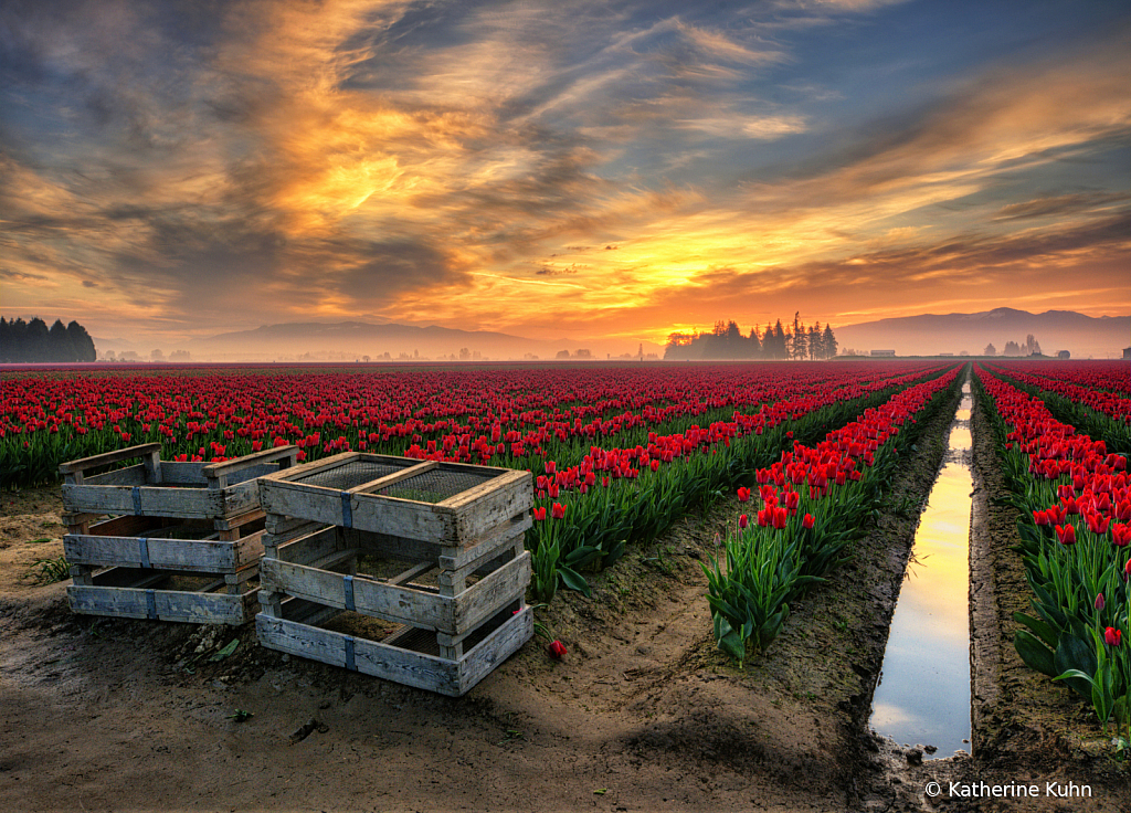 Skagit Valley Dawn