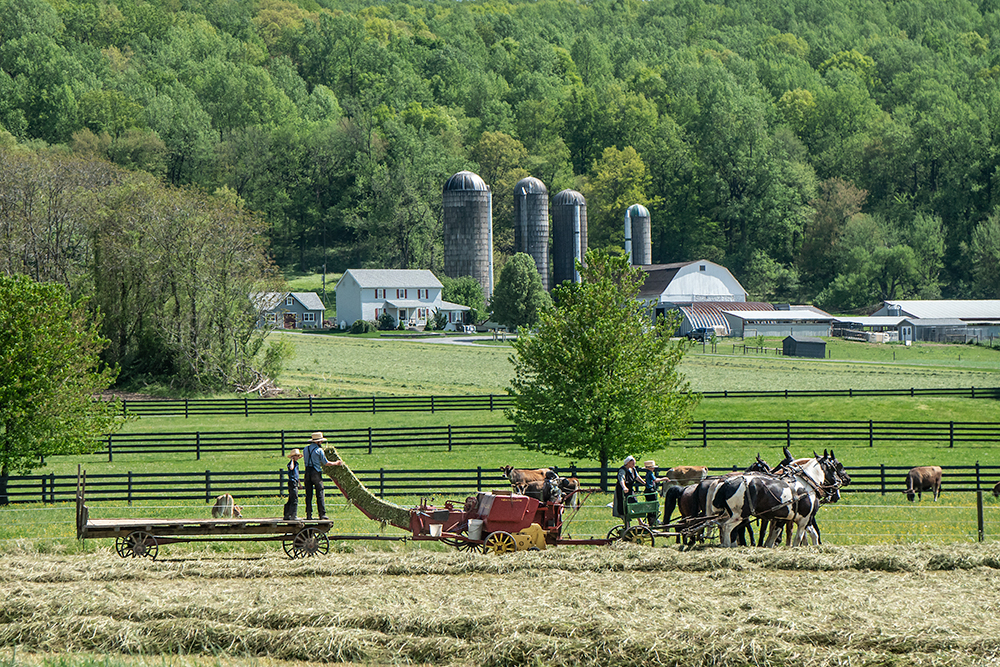 Baling the Hay  