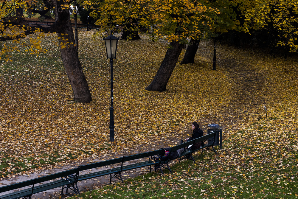 A Bench in the Park