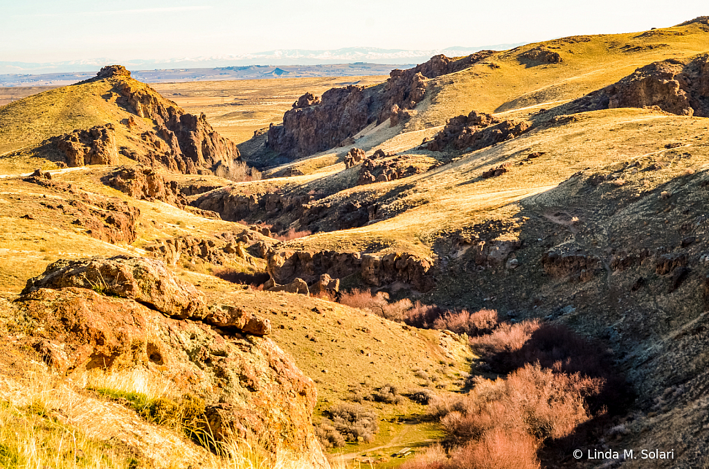 Springtime In Idaho