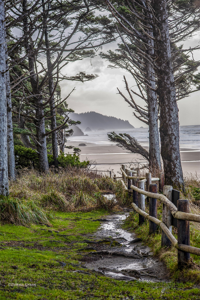 A Perceptive View - Oregon Coast