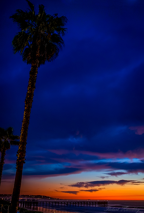 Palm Sunset - ID: 15813487 © Robert Hambley