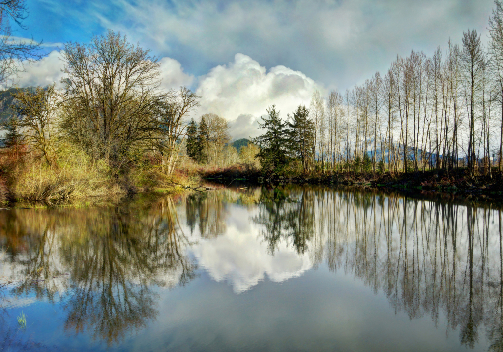 Reflection in Isolation