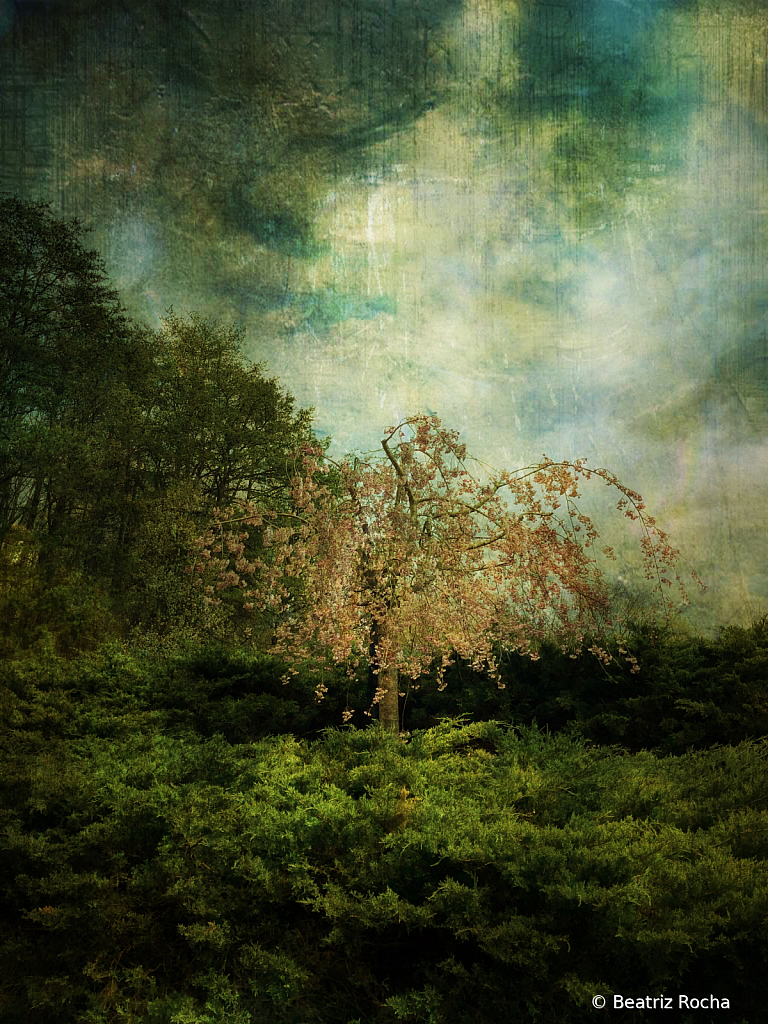 img8