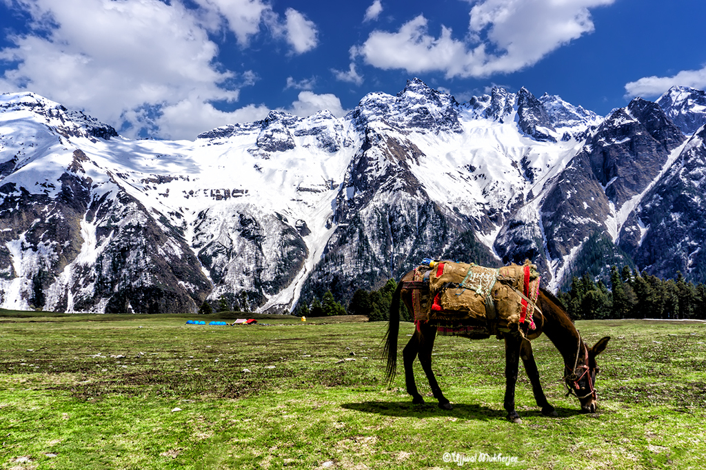 Himalayan Valley