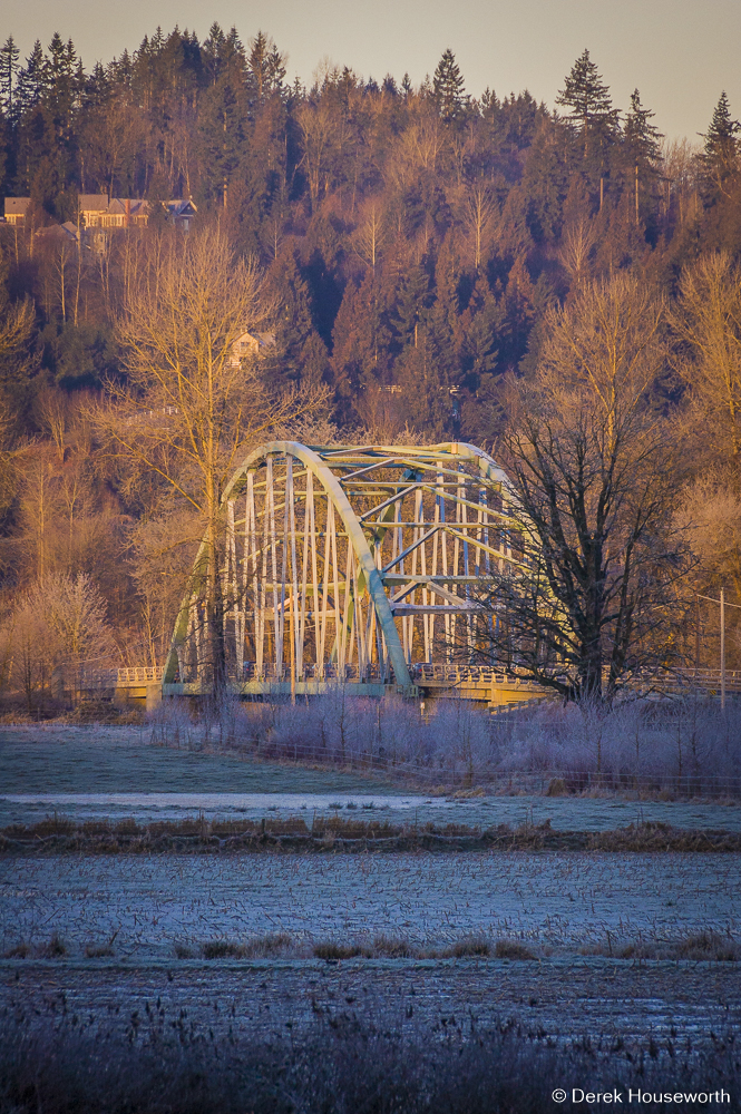 Novelty Bridge