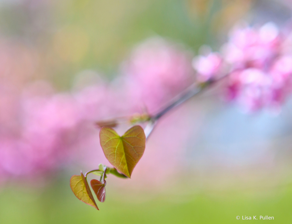 Hearts in Pastels