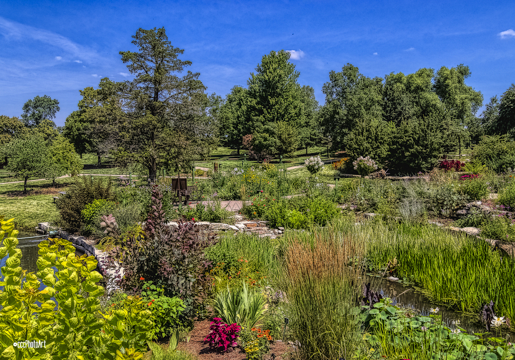 Upper Garden