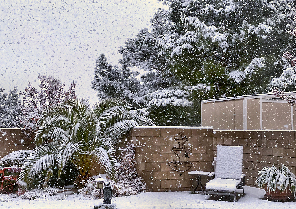 Snow Falling In My Backyard