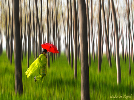 MEADOWS