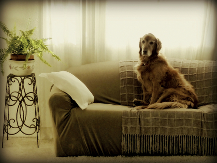 Still Life - Gordon with Plant