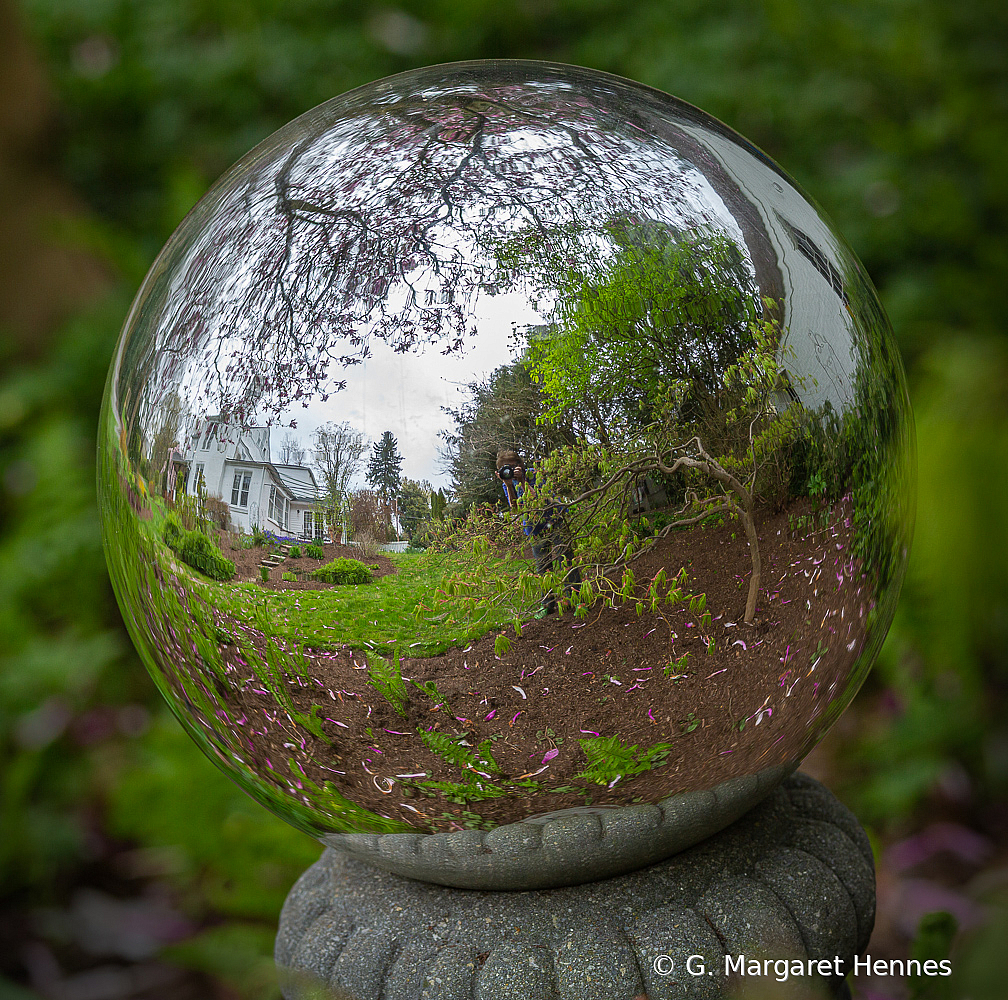 Spring Garden in the Round