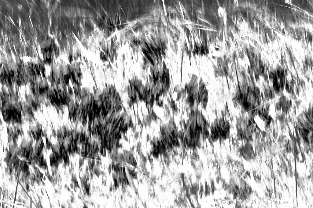 img3