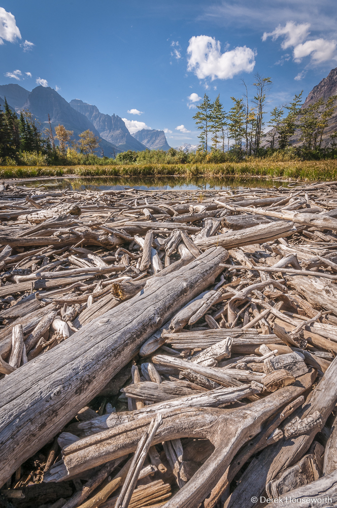 Driftwood